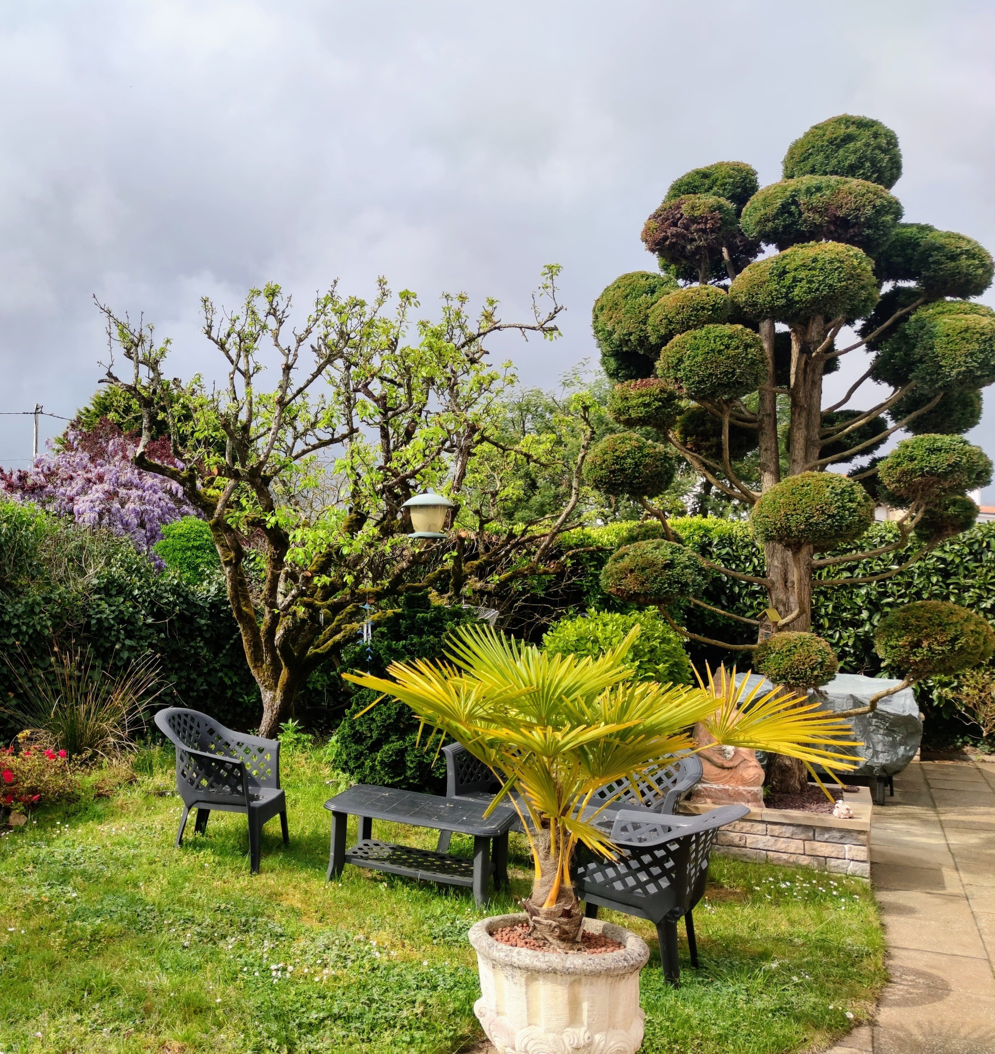 IMG_20230426_110251~3